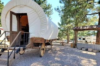Striking Williams Wagon Perfect for Glamping in Arizona - Williams - 9