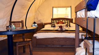 Striking Williams Wagon Perfect for Glamping in Arizona - Williams - 8