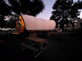 Striking Williams Wagon Perfect for Glamping in Arizona - Williams - 4