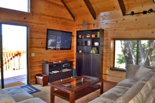 Mountain View Cabin with Private Hot Tub in Idyllwild, California - Idyllwild - 5