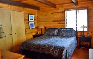 Mountain View Cabin with Private Hot Tub in Idyllwild, California - Idyllwild - 3