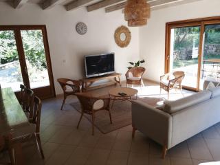 Charmant gîte de Lacrouzette avec piscine - Saint-Benoît-de-Carmaux - 9