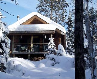 Peaceful and Rustic Cabin Getaway nestled in the Wilderness in Ely, Minnesota - Ely - 6