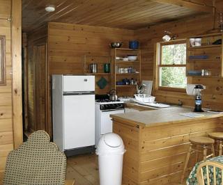 Peaceful and Rustic Cabin Getaway nestled in the Wilderness in Ely, Minnesota - Ely - 5