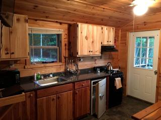 Log Cabin for Family Glamping Vacation near Cherry Springs State Park, Pennsylvania - - 2