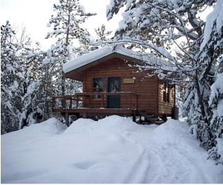 Secluded and Rustic Cabin near the BWCAW in Ely, Minnesota - Ely - 4
