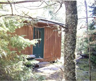 Secluded and Rustic Cabin near the BWCAW in Ely, Minnesota - Ely - 2