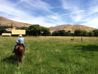 Unique Barn Cabin Rental for 15 People near Hood River, Oregon - Tygh Valley - 4