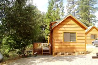 Family-Friendly Vacation Rentals with Petting Farm near Yosemite National Park - Groveland - 0