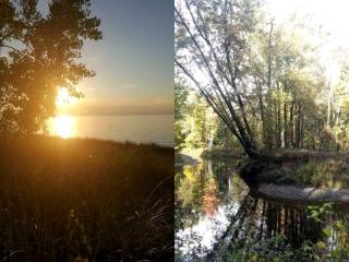 Cabin Surrounded by Sublime Nature near Lake Huron, Michigan - Port Austin - 1