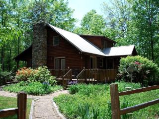 Spacious Mountain Cabin Rental with Wood Stoves near Hendersonville, North Carolina - Cedar Mountain - 9