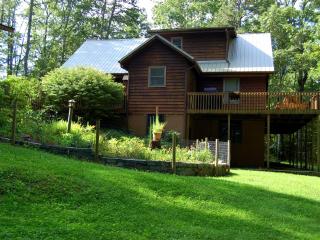 Spacious Mountain Cabin Rental with Wood Stoves near Hendersonville, North Carolina - Cedar Mountain - 7