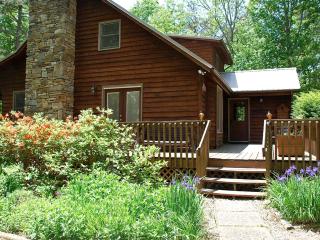 Spacious Mountain Cabin Rental with Wood Stoves near Hendersonville, North Carolina - Cedar Mountain - 6