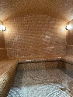 Lovely studio in Alvina Complex, Tsaghkadzor - 1