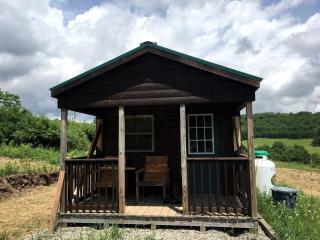 Galeton, Pennsylvania Glamping Cabin, Ideal for a Family Nature Escape - - 8