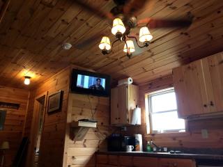 Galeton, Pennsylvania Glamping Cabin, Ideal for a Family Nature Escape - - 3