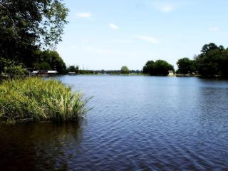 Family-Friendly Lakeside Cabin Rental with Great Fishing in East Texas - - 6