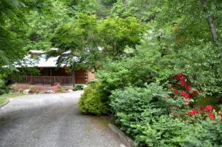 Cozy Creekside Cabin Rental near Cherokee, North Carolina - Cherokee - 5
