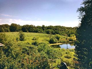 Cozy Vacation Rental Overlooking Idyllic Prairie Land near Jacksonville, Illinois - Murrayville - 6