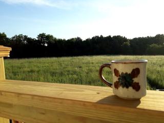 Countryside Tiny House Rental for Weekend Getaway near Springfield, Illinois - Murrayville - 2
