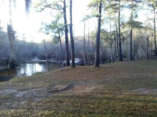 Rustic Cabin Rental on the Great Satilla River near Okefenokee Swamp Park, Georgia - Brunswick - 7