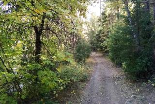 Rustic Caravan Getaway on a Creek in the Klamath National Forest of California - - 5