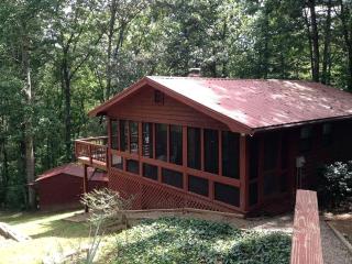 Mountain Cabin Rental Under Two Hours from Atlanta for Lake Nottely Getaway in Georgia - Blairsville - 9