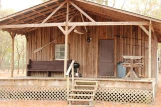 Riverfront Getaway Cabin with a Boat Ramp Access near Brunswick in Southeast Georgia - Brunswick - 4