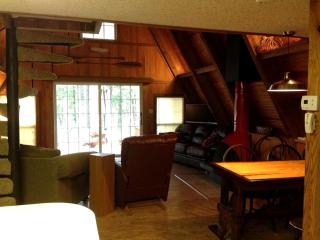 Rustic 18-Person Cabin Rental on Lake Sam Rayburn for Staycation near Houston - - 6