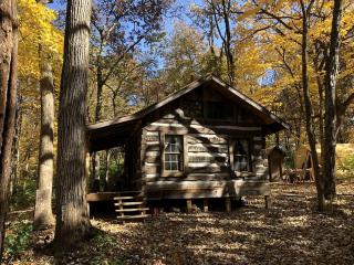 Pet-Friendly Cabin Rental in the Woods near Nauvoo, Illinois - Nauvoo - 3