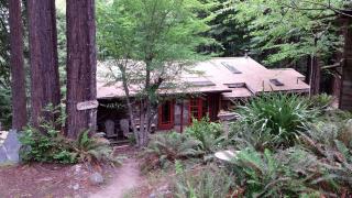 Peaceful and Secluded Cabin Nestled in the Redwoods near Mendocino, California - Mendocino - 9