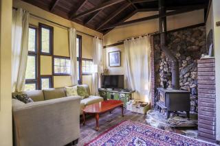 Peaceful and Secluded Cabin Nestled in the Redwoods near Mendocino, California - Mendocino - 3