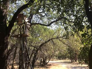 Gorgeous Safari Tent in Lakeside Village Ideal for Glamping near Dallas - 1