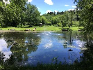 Picturesque Cabin Retreat with Private Sauna near New Richmond, Wisconsin - New Richmond - 4