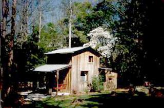 Romantic Cabin Rental with Fire Pit near Great Smoky Mountains National Park in Tennessee - Cosby - 2