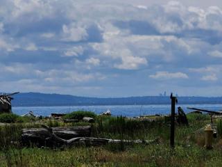 Stylish Washington Glamping Airstream on Double Bluff Beach - Freeland - 7