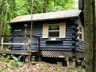 Cozy Log Cabin Rental for Two near the Wolf River in Elton, Wisconsin - White Lake - 1