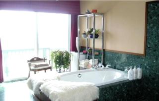 Cozy Suite Rental in a Bed and Breakfast with Fireplace and Magnificent Mountain Views near New Hampshire's Newfound Lake - Hebron - 1