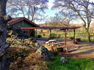 Quiet Cottage Rental for Two in Horse Country near Yosemite National Park Gateway, California - Catheys Valley - 8