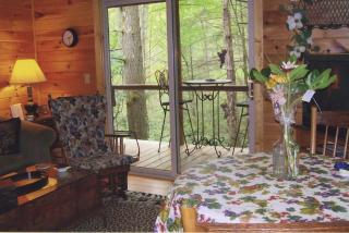 Rustic Log Cabin Rental with Picnic Area in Cosby, Tennessee - Cosby - 0