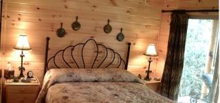 Rustic Log Cabin Rental with Picnic Area in Cosby, Tennessee - Cosby - 5