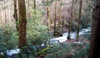 Rustic Log Cabin Rental with Picnic Area in Cosby, Tennessee - Cosby - 2
