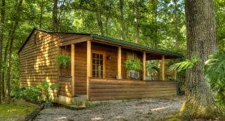 Two-Bedroom Cabins for Rent near Daniel Boone National Forest, Kentucky - Somerset - 0