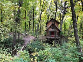 Tree House Cabin for Six with Panoramic Forest Views in Nauvoo, Illinois - Nauvoo - 0
