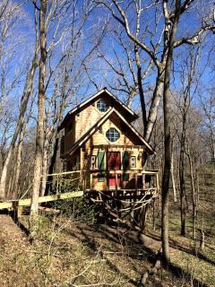 Tree House Cabin for Six with Panoramic Forest Views in Nauvoo, Illinois - Nauvoo - 9