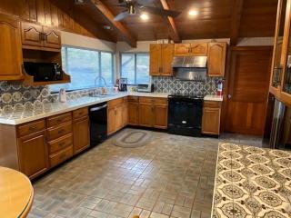 Secluded Florida Cabin Rental Ideal for Weekend Getaways from Tampa - Masaryktown - 4