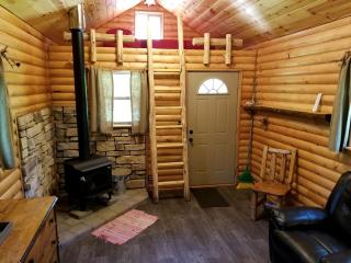 Cozy Creekside Cabin Rental for a Secluded Weekend Getaway in Wisconsin - Sparta - 0