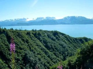 Luxury Camping Tent Overlooking Kachemak Bay in Homer, Alaska - Homer - 7