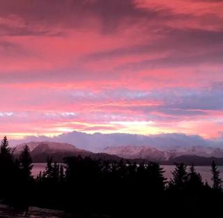 Luxury Camping Tent Overlooking Kachemak Bay in Homer, Alaska - Homer - 4