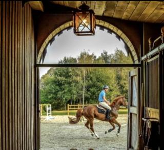 Glamping in Floresville at this Stunning Equine Ranch in South Texas - 1